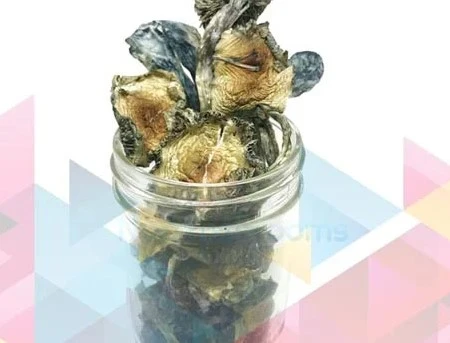 How Microdosing Magic Mushrooms Can Spark Your Creativity