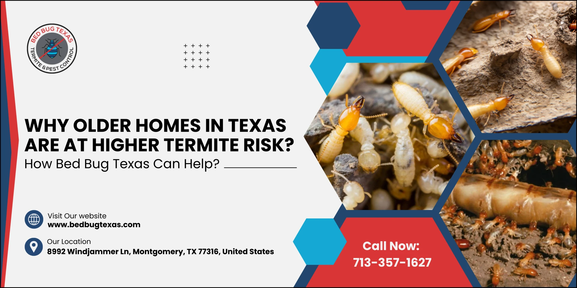 Why Older Homes in Texas are at Higher Termite Risk? How Bed Bug Texas Can Help?