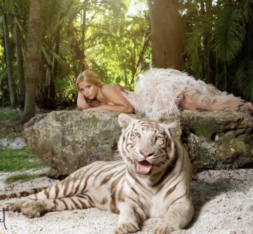 Find an Exotic Animal Company Miami to Plan Animal Encounter