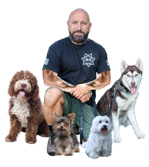 Best Miami Dog Trainers for Obedience, Leash Walking, and More