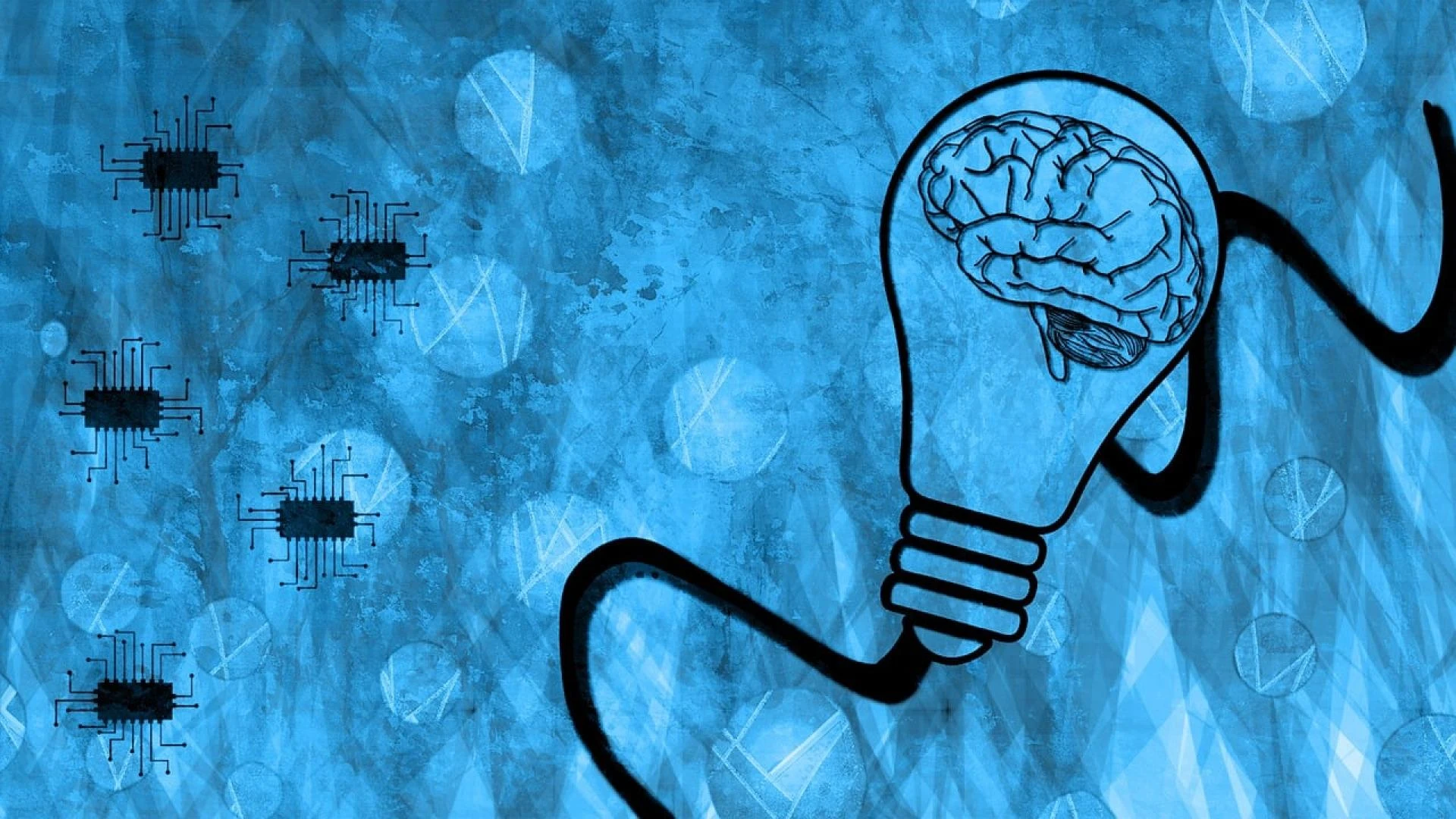 Build Your Data Science Brand with Open-Source Projects