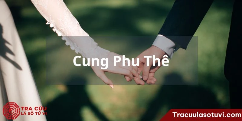 Tracuulasotuvi.com: Giải đoán ảnh hưởng của Long Trì cung Phu Thê