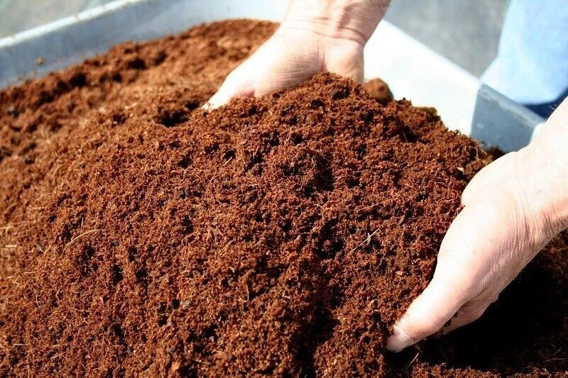 The Best Strategies to Use Coco Coir to Improve Soil Structure in Your Garden