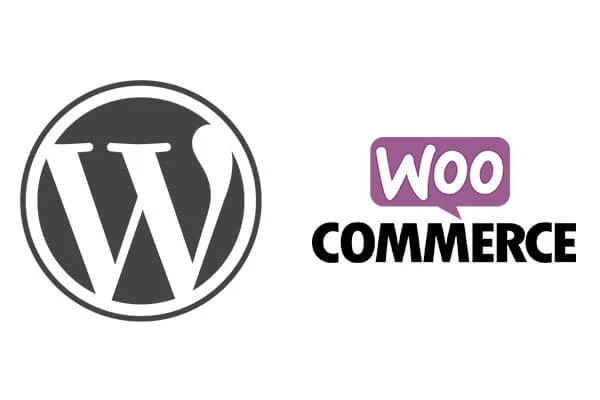 6 Ways to Improve Conversion Rate of Your WooCommerce Store