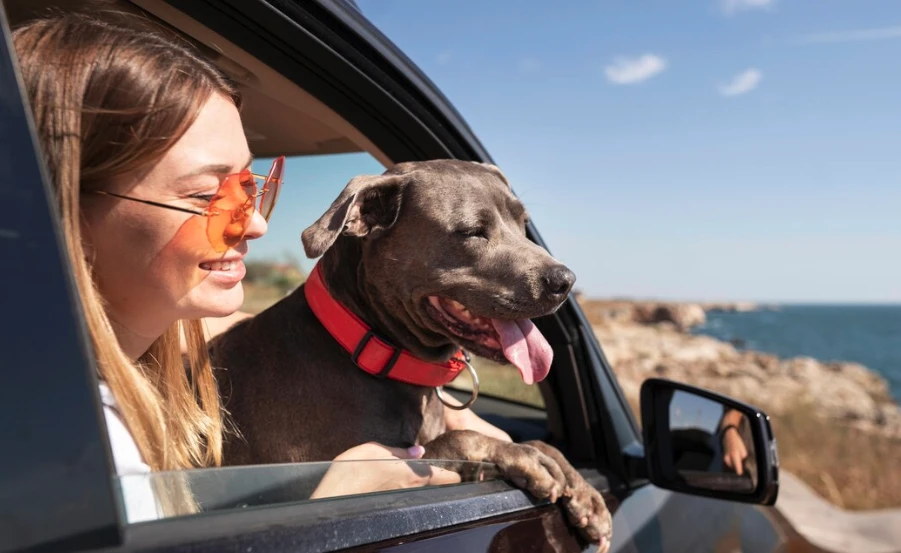 Welcome to Pawrpose Store – Your Trusted Hub for Pet Adoption & Animal Rescue!