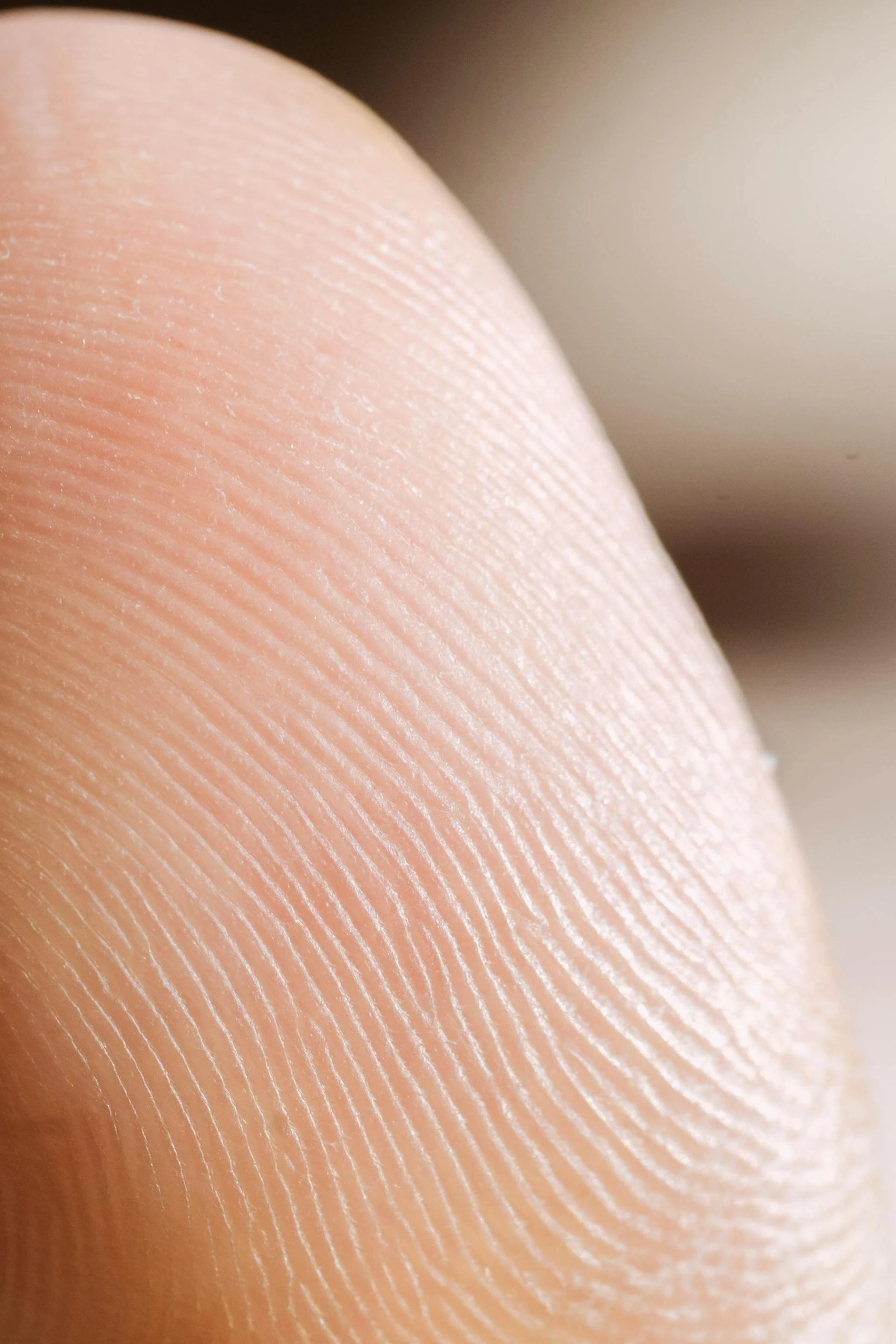 Why Live Scan Fingerprinting Matters More Than Ever in 2025