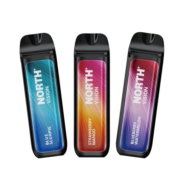 Can North Vision Vapes Outshine the Giants? A Friendly Dive Into Its Flavorful Future