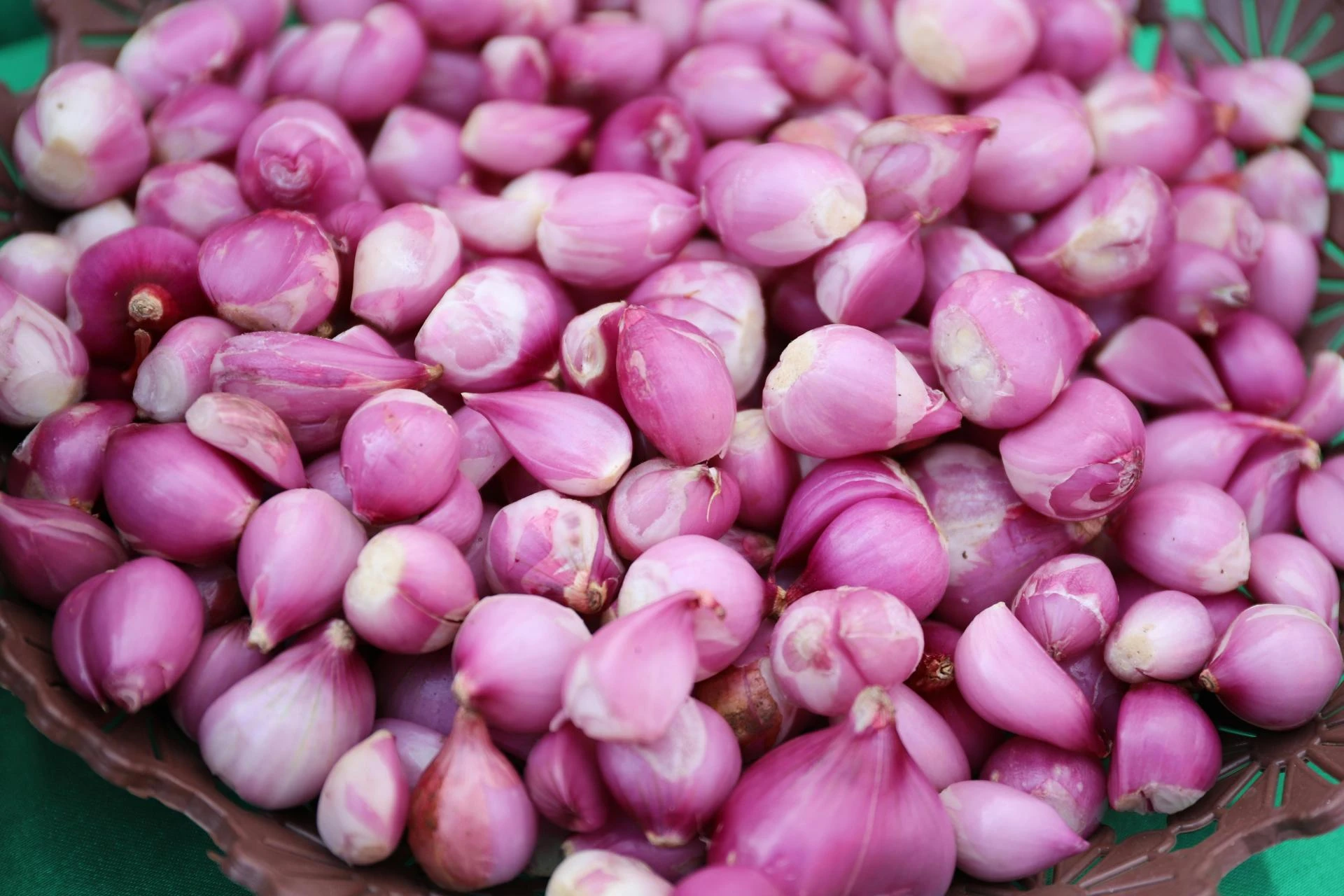 How Indian Onion Exporters Are Leveraging Innovation for Market Growth
