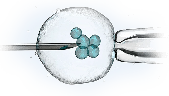 Why Egg Bank Australia is Revolutionizing IVF for Intended Parents