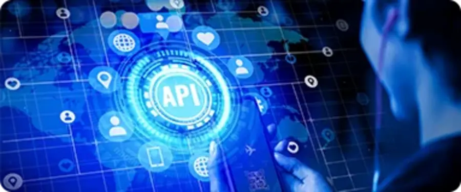 Elevating Your Online Presence: A Guide to Web Development Services