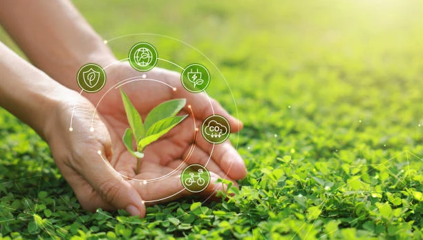 Pros and Cons of Lawncare Services in Chichester