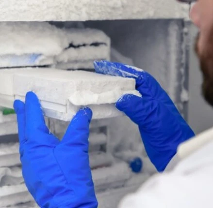 Insulation Batts Made for Aussie Homes