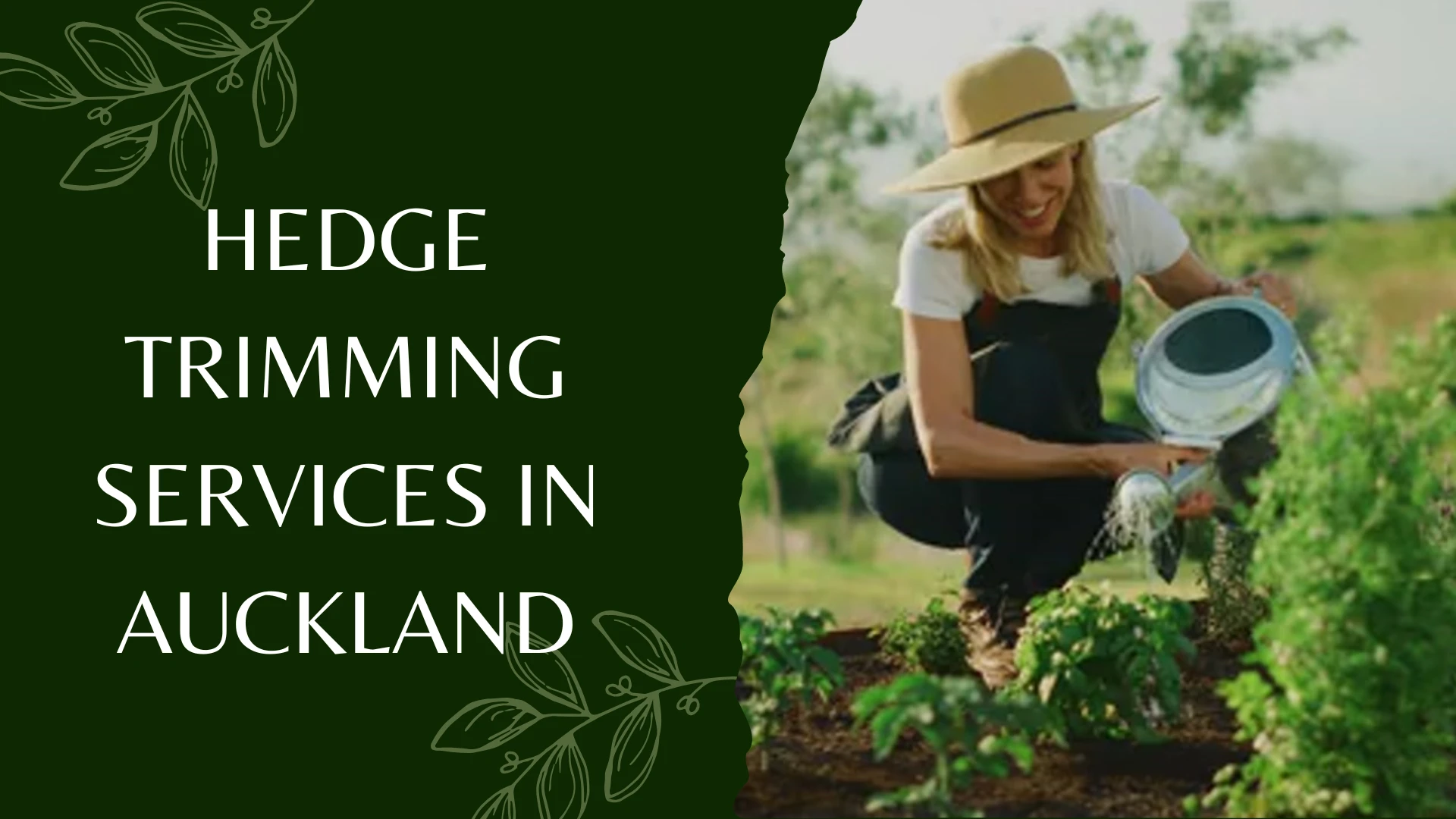 Auckland’s Ultimate Hedge Trimming Guide: Expert Tips for a Stunning Garden