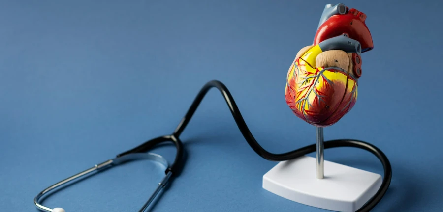 How to Keep Your Heart Healthy in Summer: Effects, Risks & Prevention Tips