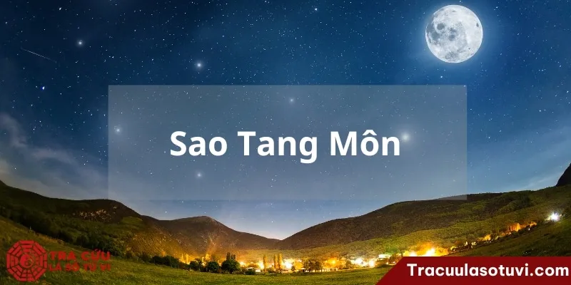 Tang Môn cung Điền Trạch là gì? Tracuulasotuvi.com luận ý nghĩa chi tiết