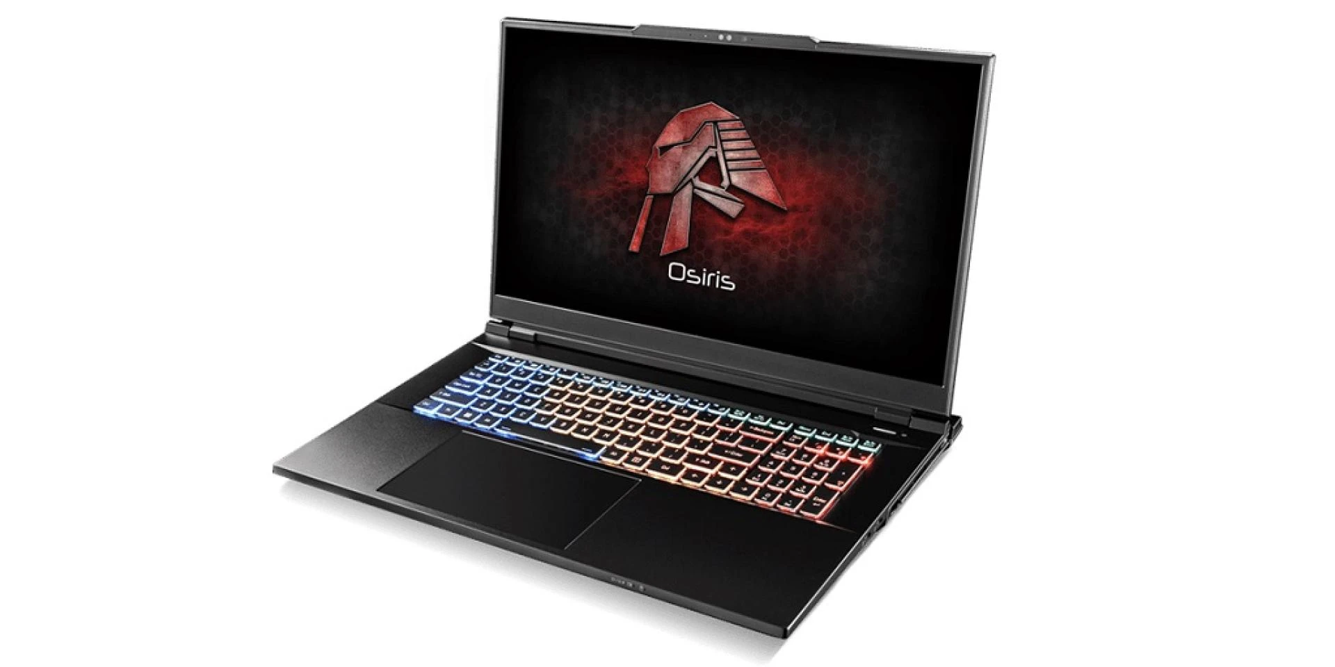 DIY Dilemma: Building Your Dream Rig or Trusting the Pros?