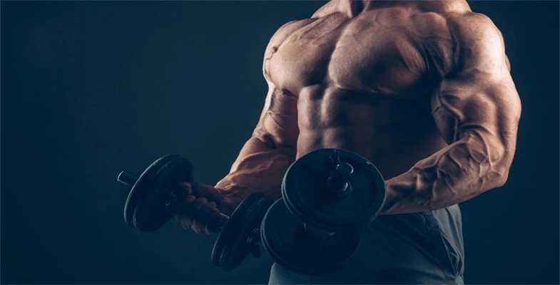 Anabolik Steroidlerin Etkileri