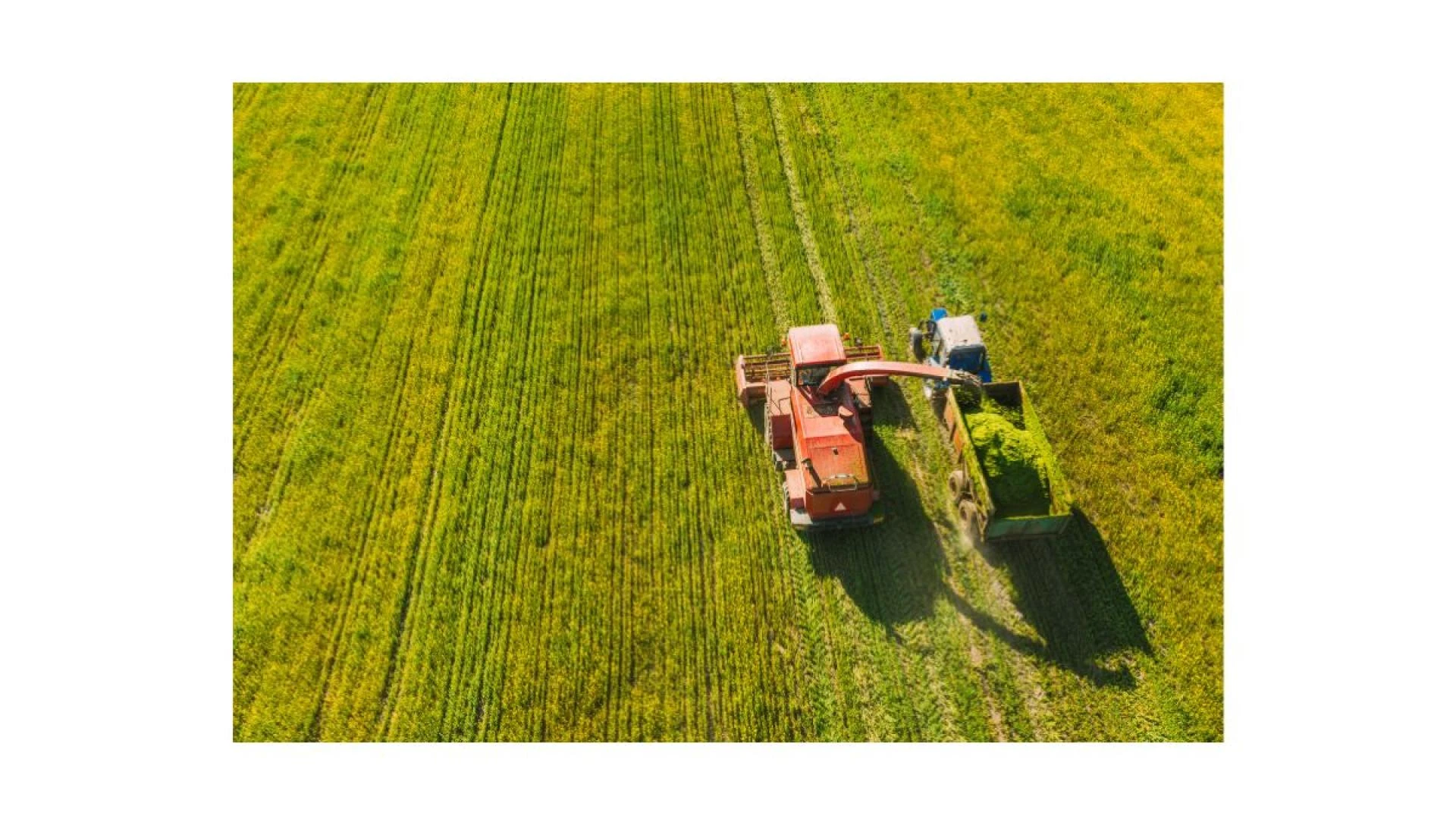 Why Saskatchewan Is a Great Place to Buy Farmland