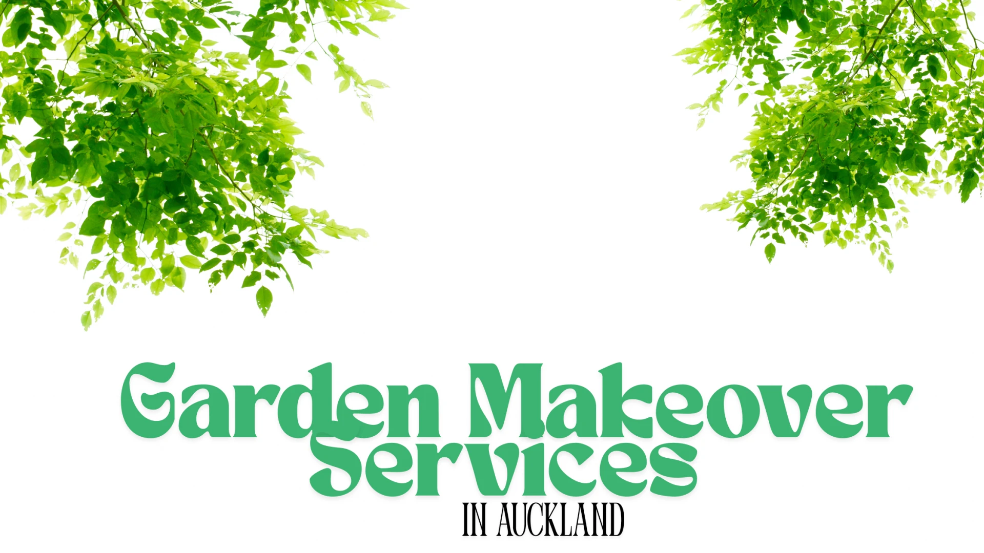Garden Makeover Services in Auckland That Transformed My Yard