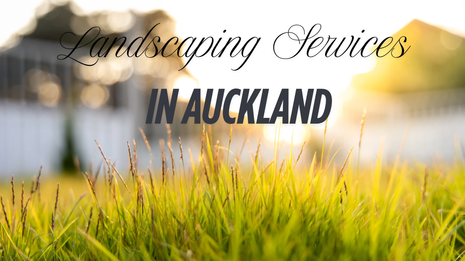 How Professional Landscaping Services in Auckland Solved Our Drainage Nightmare 