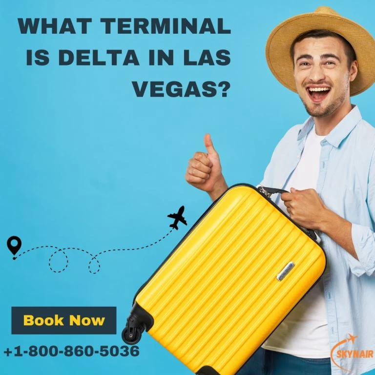 What terminal is Delta in Las Vegas? – Skynair