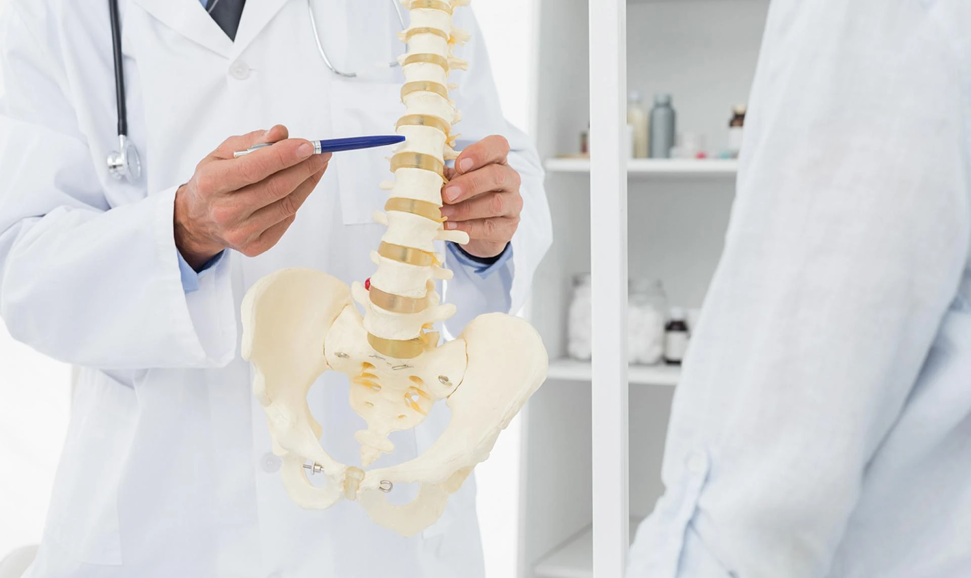 7 Ways a Chiropractor Influences Internal Body Function