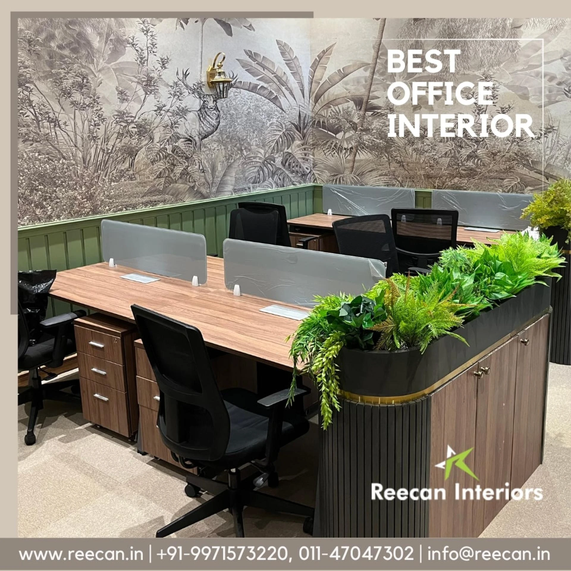  The Future of Office interior : How Reecan Interiors Shapes Workspaces