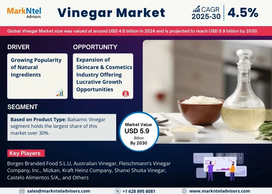Vinegar Market Comprehensive Study: Trends, Growth, and Analysis