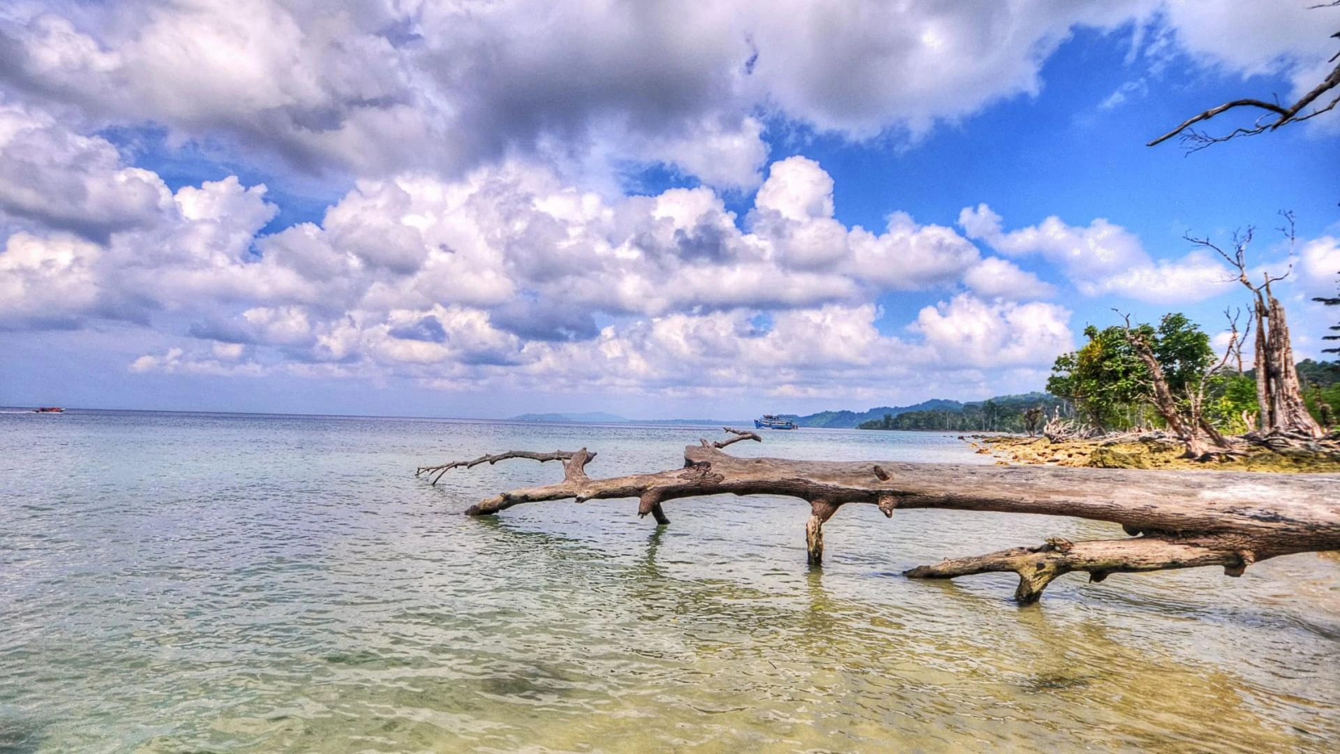 Explore Andaman Tour Packages for a Perfect Island Escape