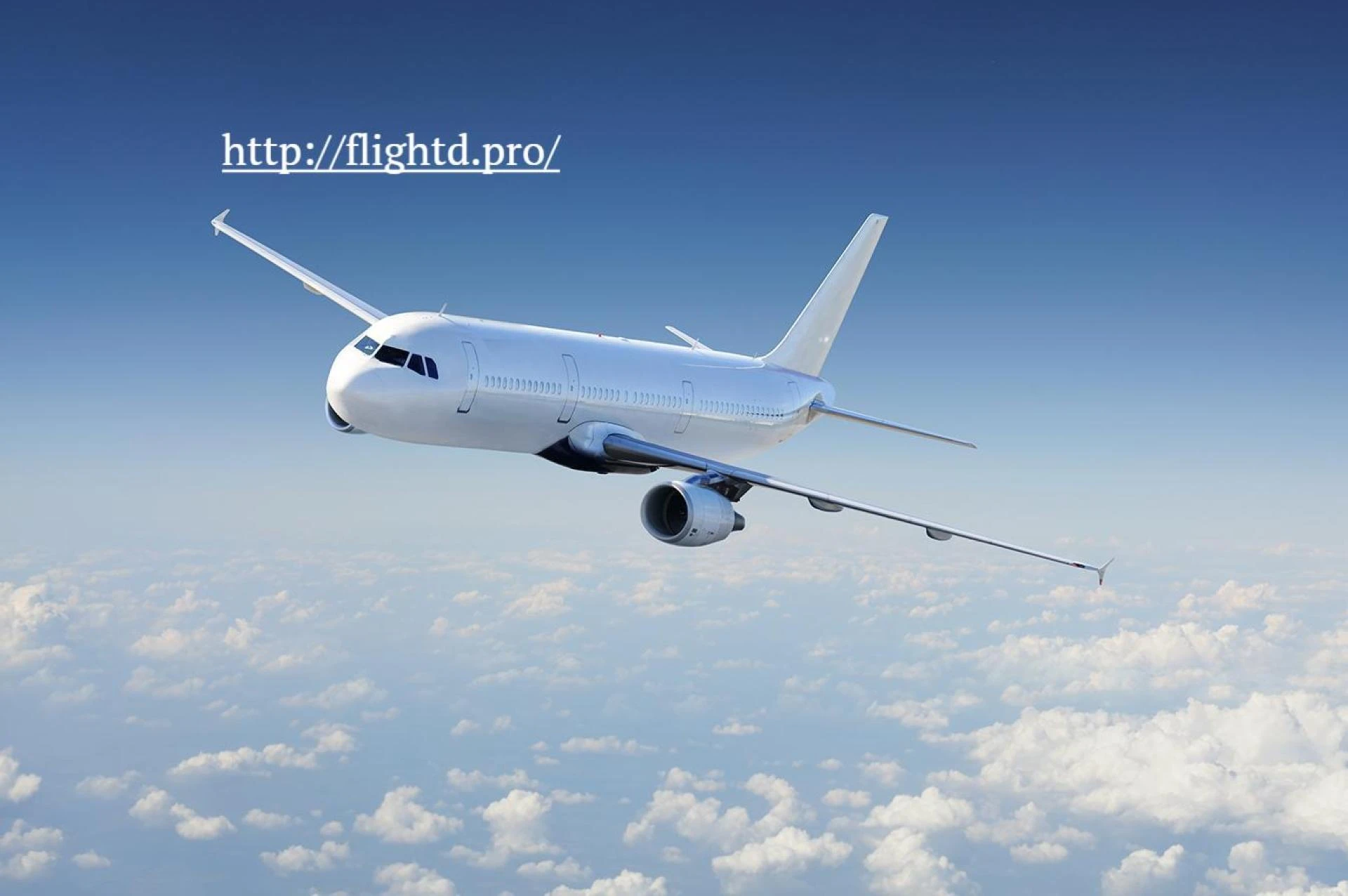 Flightd Is Where Airfare Meets Intelligence