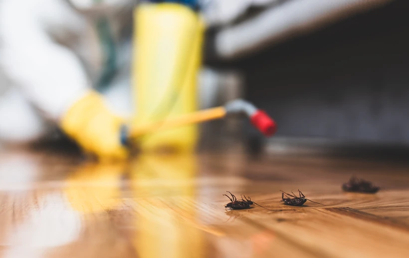 Pest Terminate Services Near Me: Your Ultimate Guide to Pest Control