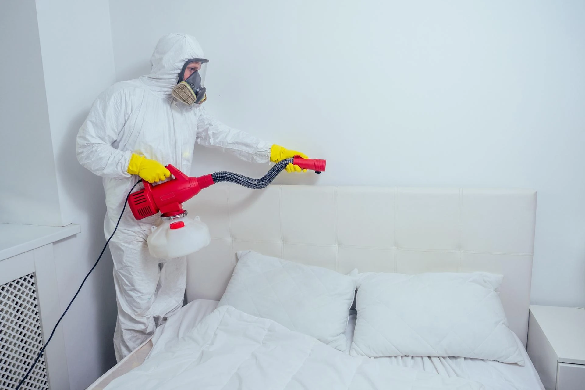 Understanding Bed Bugs: Why Professional Bed Bug Inspection is Crucial