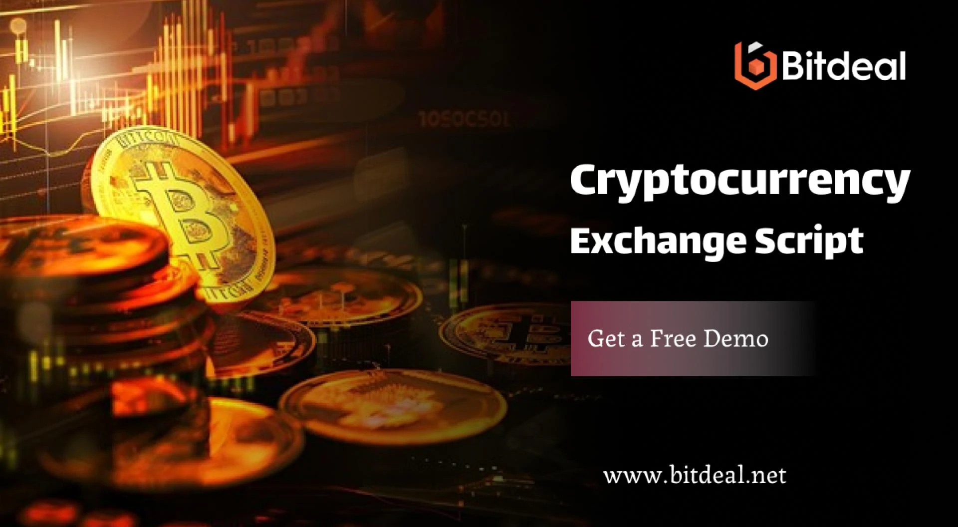 Launch Your Own Binance: How a Crypto Exchange Script Makes It Possible