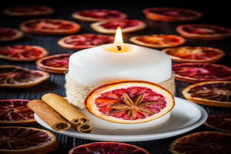 The Allure of Bayberry Wax: A Natural Wonder in Skincare and Beyond