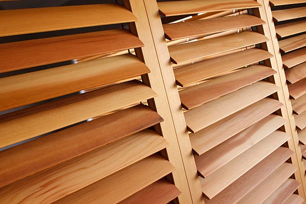 Where Can You Find the Best Shutters in Picton for Style and Privacy?