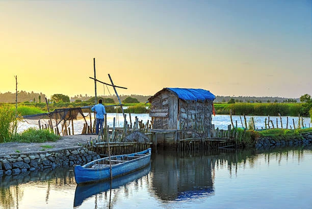 Explore Kerala: Great Deals on Delhi to Kerala Tour Packages