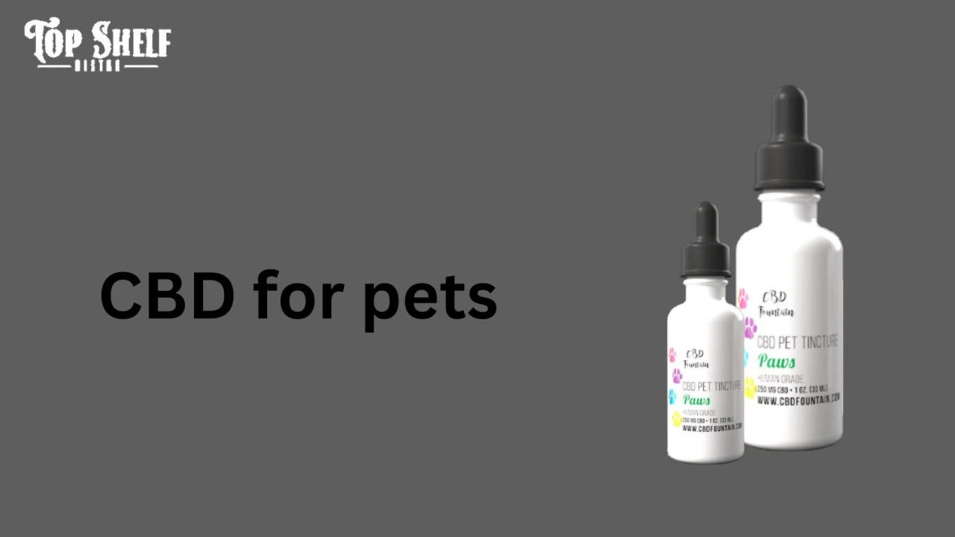 CBD for Pets Unlocking the Benefits