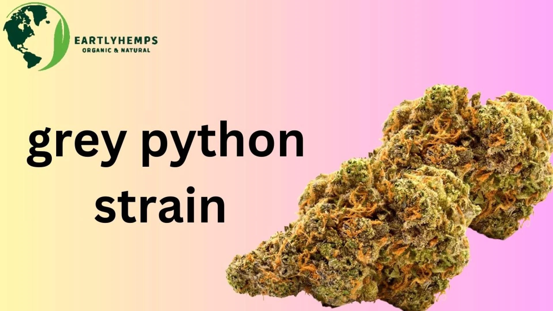 Grey Python Strain: Unveiling the Mystique of a Unique Cannabis Variety