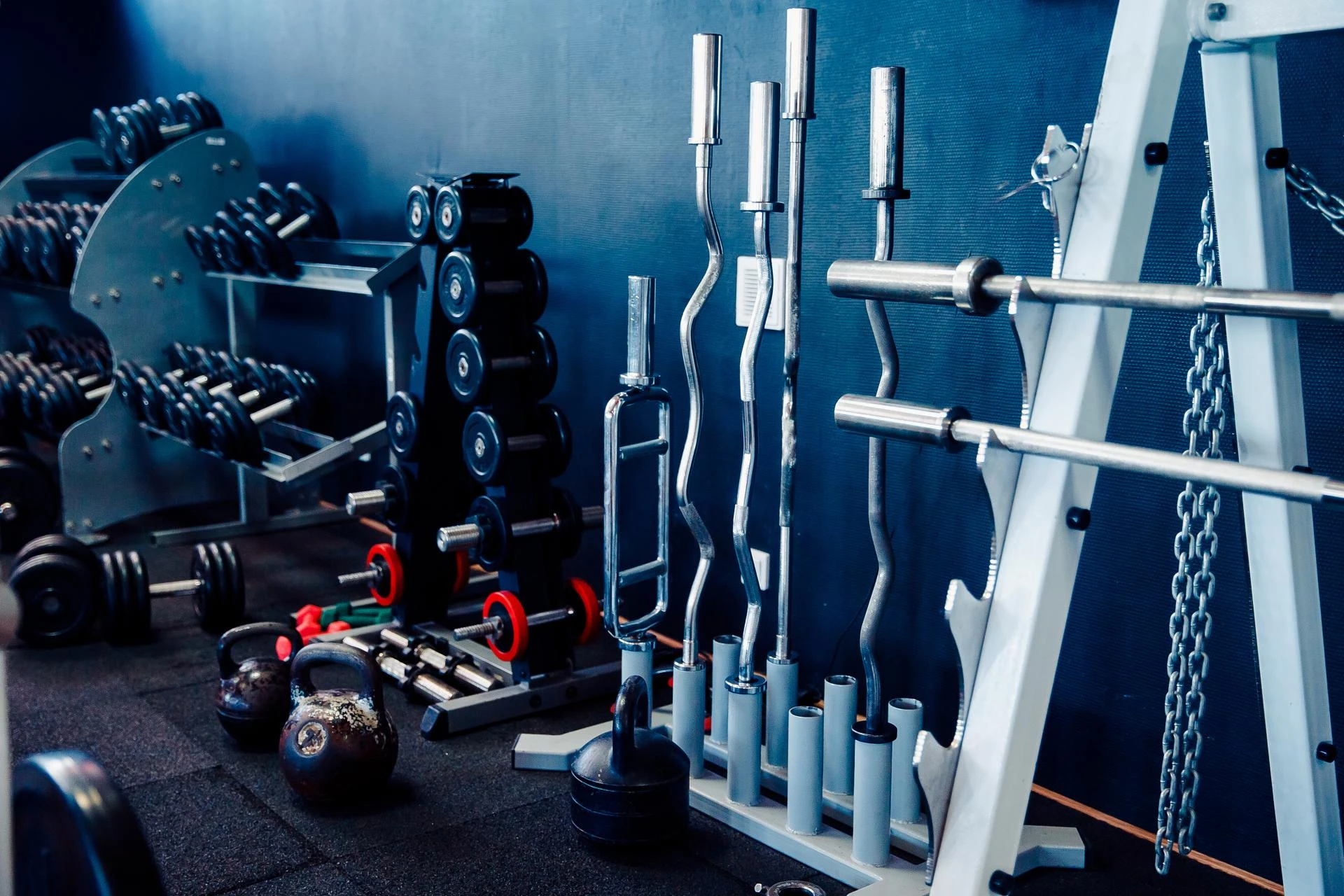 A Complete Guide To Buy Gym Equipment