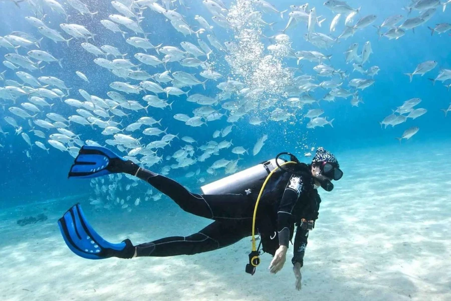 Scuba Diving in North Goa: The Hidden Gem of Underwater Exploration