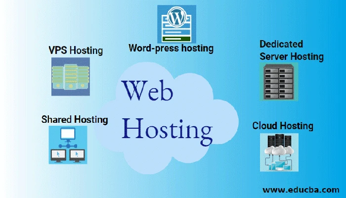 Types of web hosting Provided by Website Hosting Vancouver