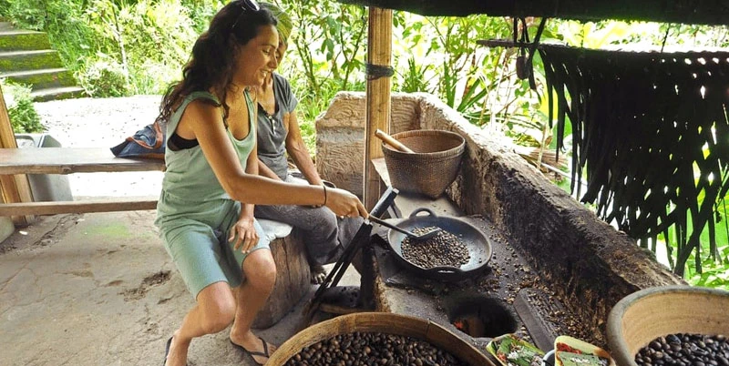 Learning from Leaves: Rediscovering Herbal Wisdom in Bali