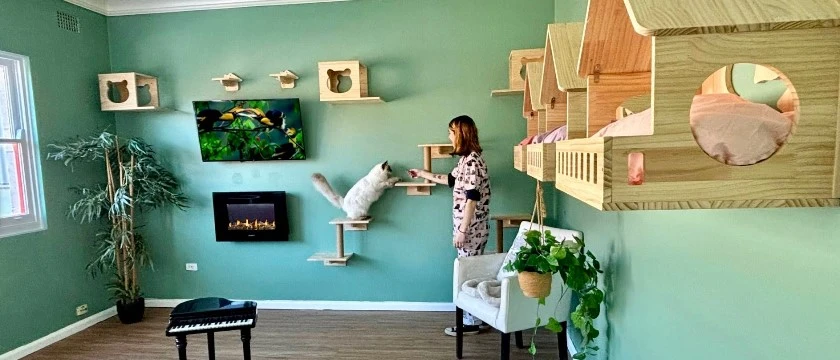 Luxury Cat Hotel Eastern Suburbs – Premium Cat Boarding Near Hurstville, Sydney