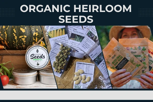 Organic Heirloom Seeds: Bring Your Garden to Life Naturally