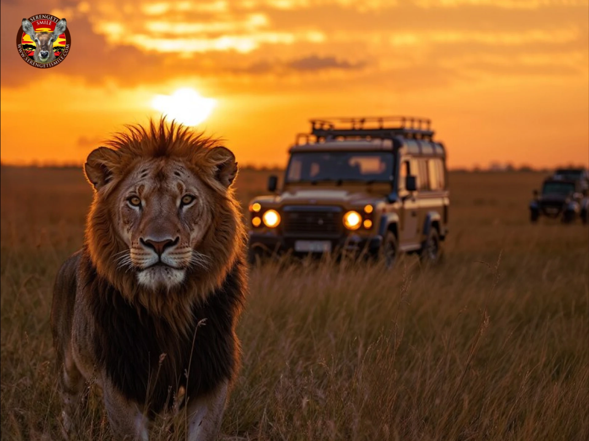 Affordable Tanzania Safari Companies for Budget-Friendly Adventures