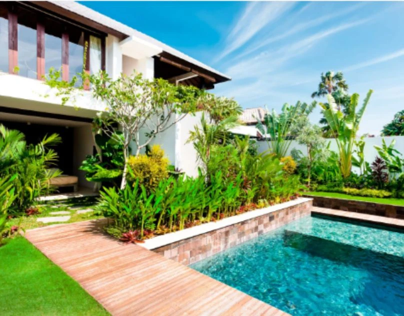 Creative Landscaping Solutions in Ibiza | ALIA Management Ibiza