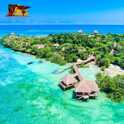 Main Reasons Diani Beach Is the Ultimate Safari and Beach Combo