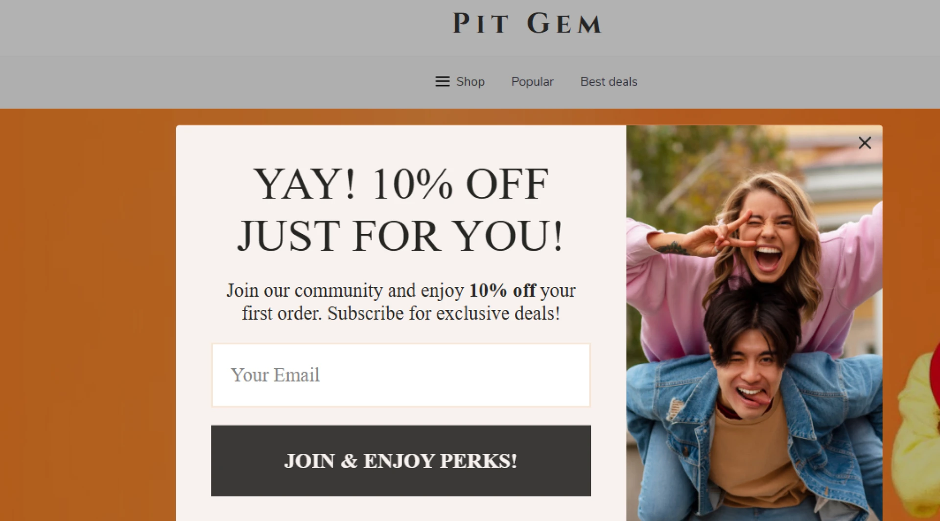 Dazzling Treasury Of Online Shopping Elegance Unveiled by Pit Gem