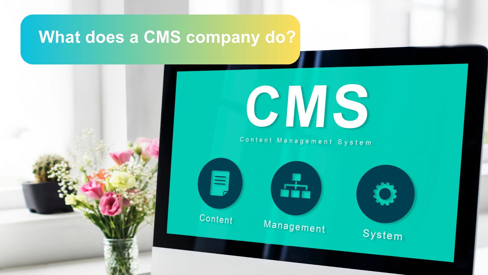 What does a CMS company do?