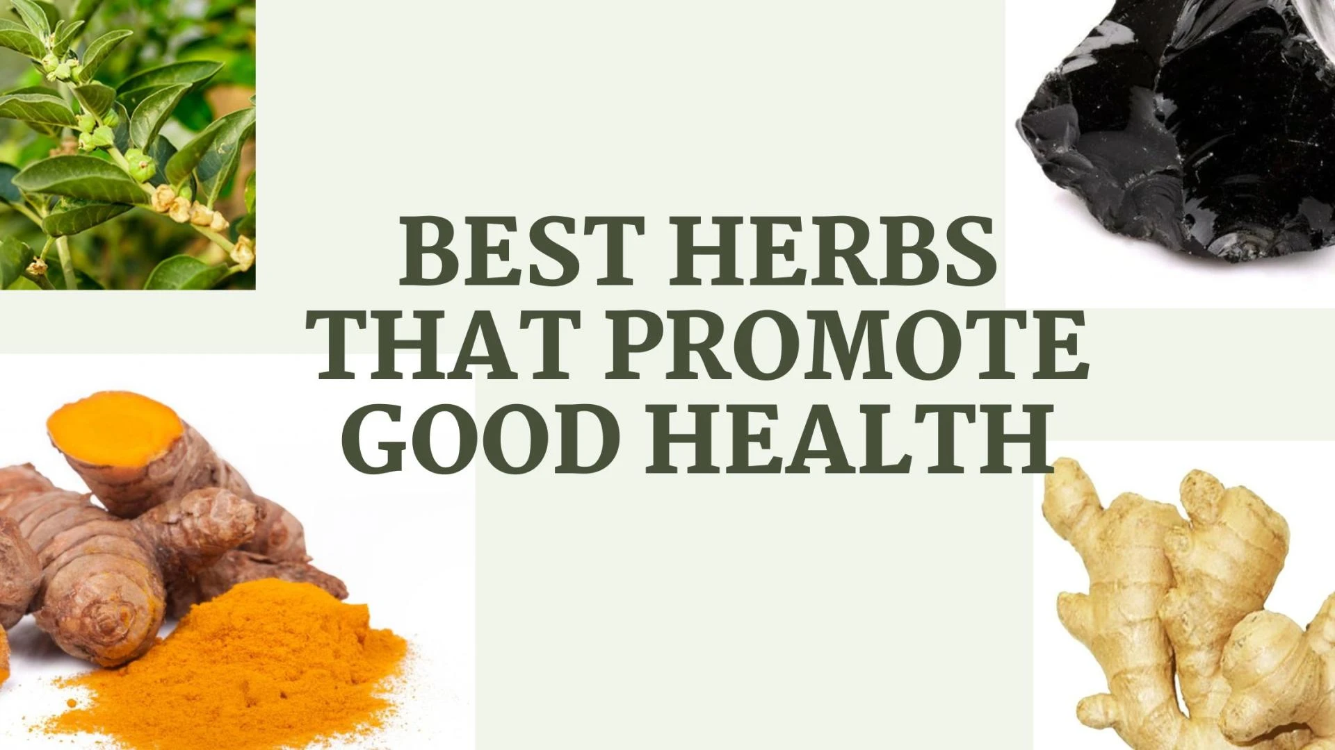 Best Herbs That Promote Good Health